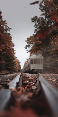 Train in Motion Through a Leafy Autumn Landscape