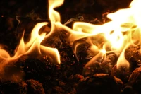 flame, fire, heat, bonfire, campfire wallpaper