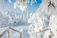 Winterwunderland: Eine vergletscherte Landschaft, bedeckt mit Schnee