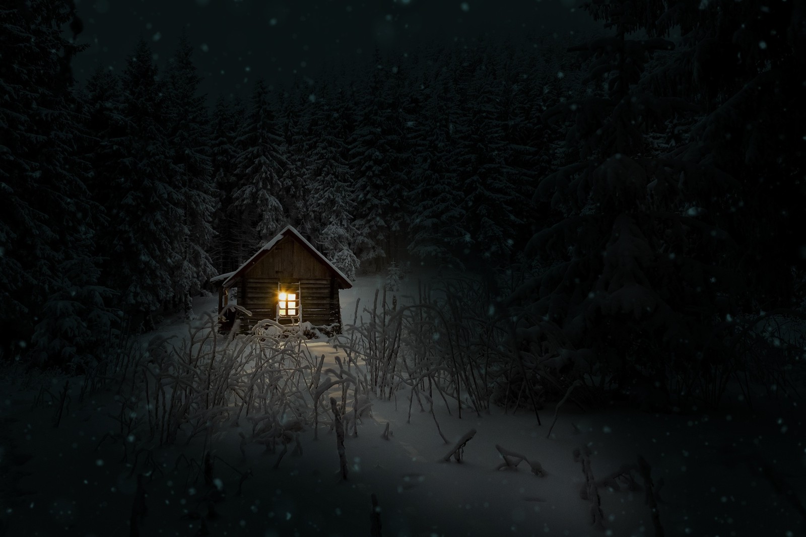 winter, night, snow, cold, darkness wallpaper