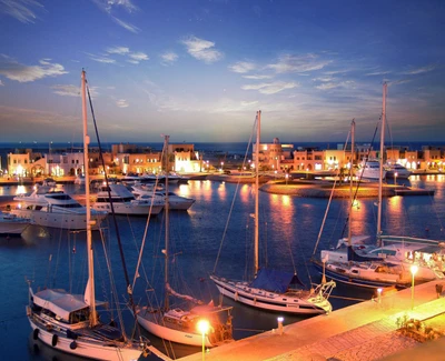 Tarde serena en la marina: barcos atracados bajo un cielo estrellado