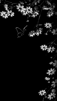 noir, papillon, fleurs, blanc