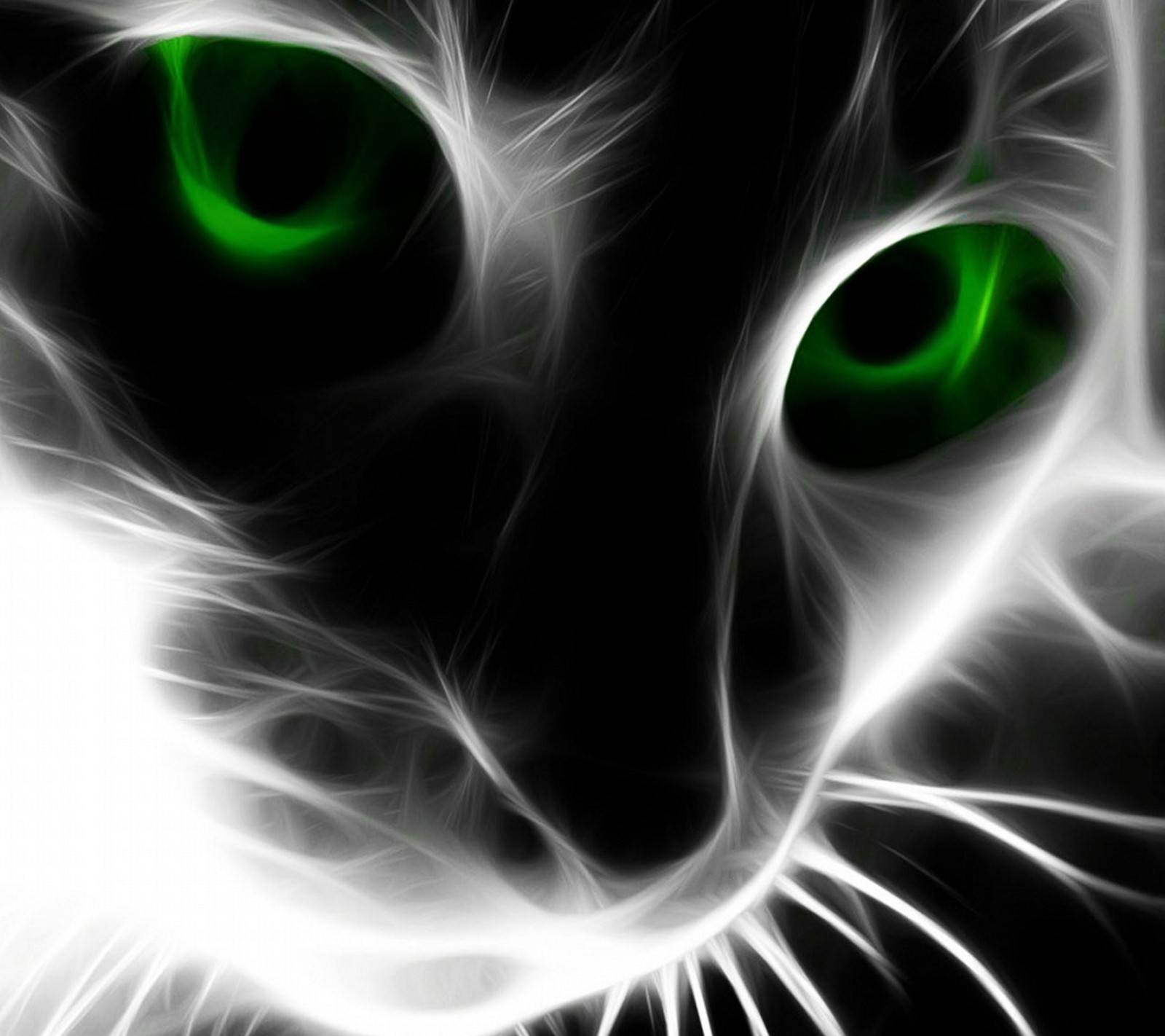 Un primer plano de un gato con ojos verdes y un fondo negro (cat, ojo, verde)