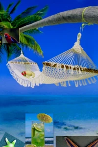 Relaxing Hammock by the Sea in Summer Paradise