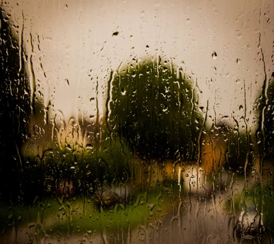 Rainy Day Serenity: A Lovely View Through a Droplet-Laden Window