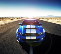 ford, gt500, kr, mustang, shelby