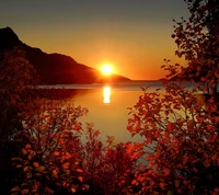 Coucher de soleil sur une forêt tranquille et reflets de montagne