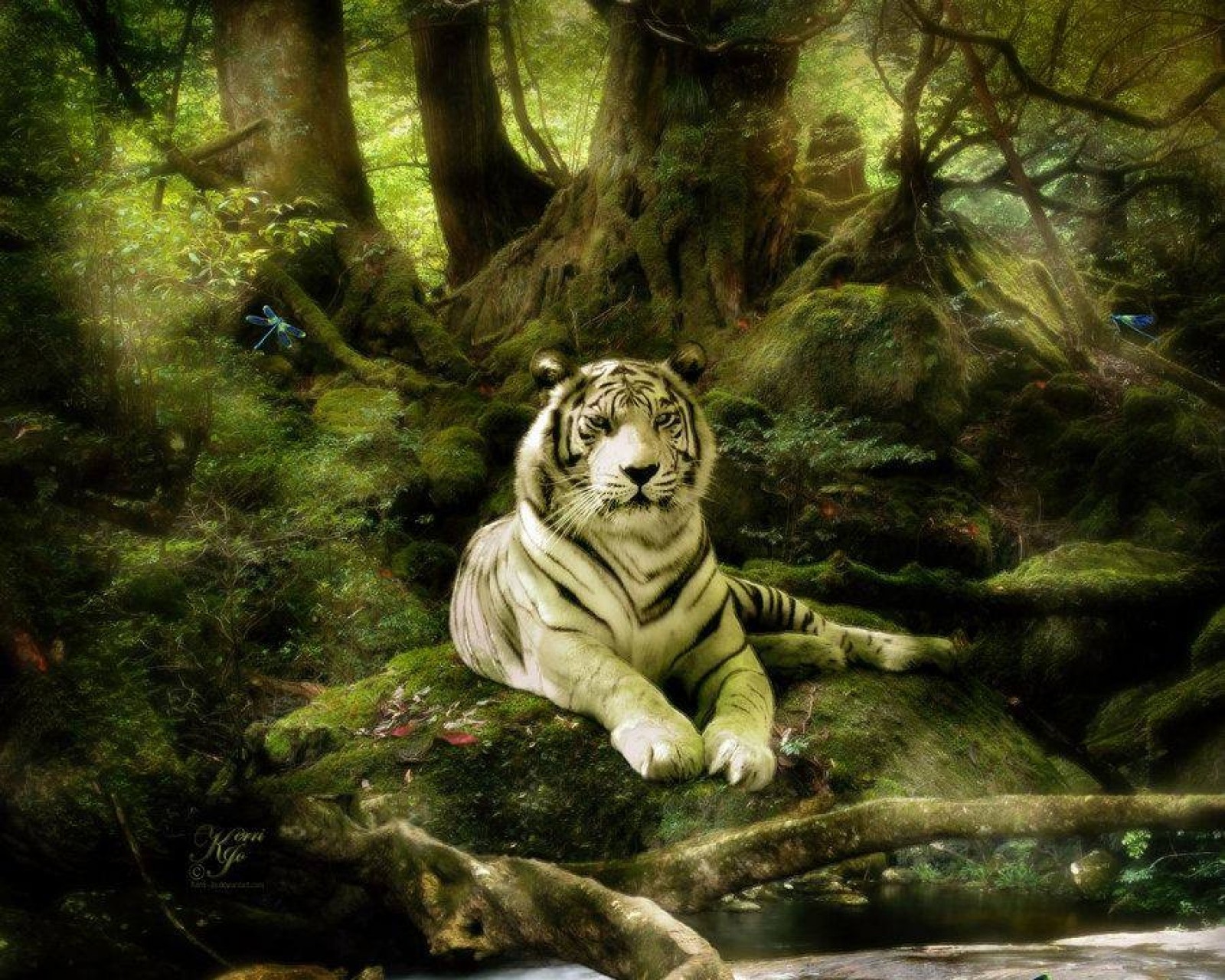 Il y a un tigre blanc qui est allongé dans les bois (animaux, grands félins, tigres blancs)