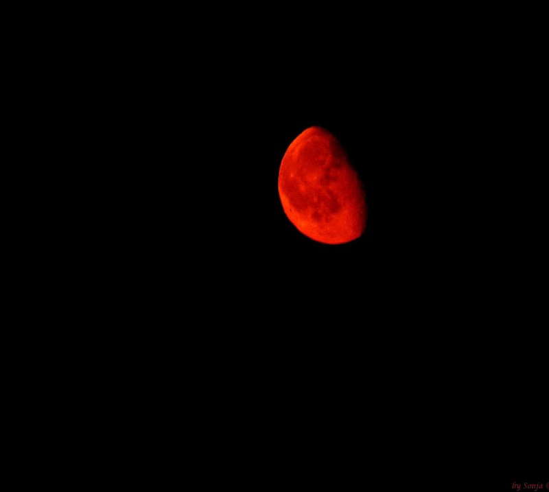 Gros plan d'une lune rouge dans un ciel sombre (nuit)