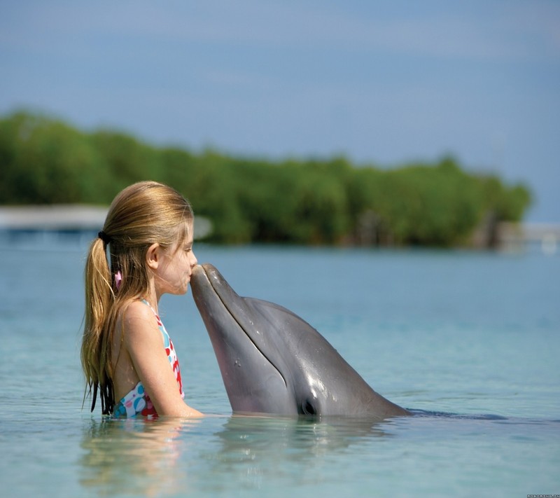 Blond girl in a bikini kissing a dolphin in the water (dolphi, girl)