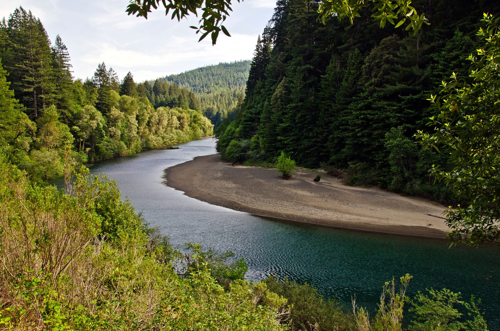 Gekrümmte sicht auf einen fluss mit einem sandufer und bäumen (redwood national und staatsparks, natur, fluss, wasserressourcen, wasser)