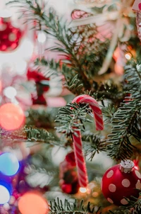 Festlich geschmückter Weihnachtsbaum mit Zuckerstangen und Ornamenten