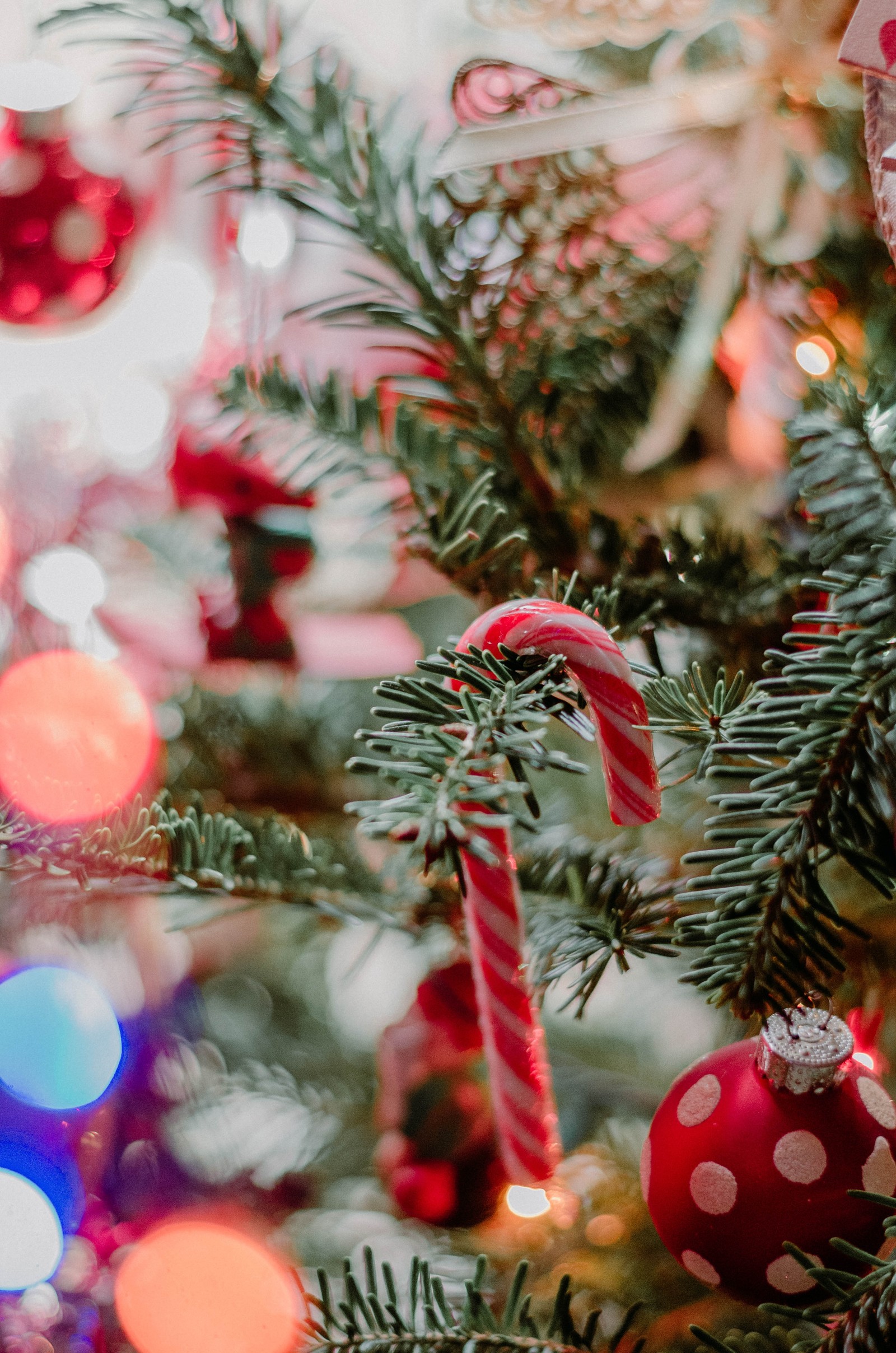 There is a christmas tree with a candy cane and ornaments on it (christmas, fir, christmas and holiday season, branch, woody plant)