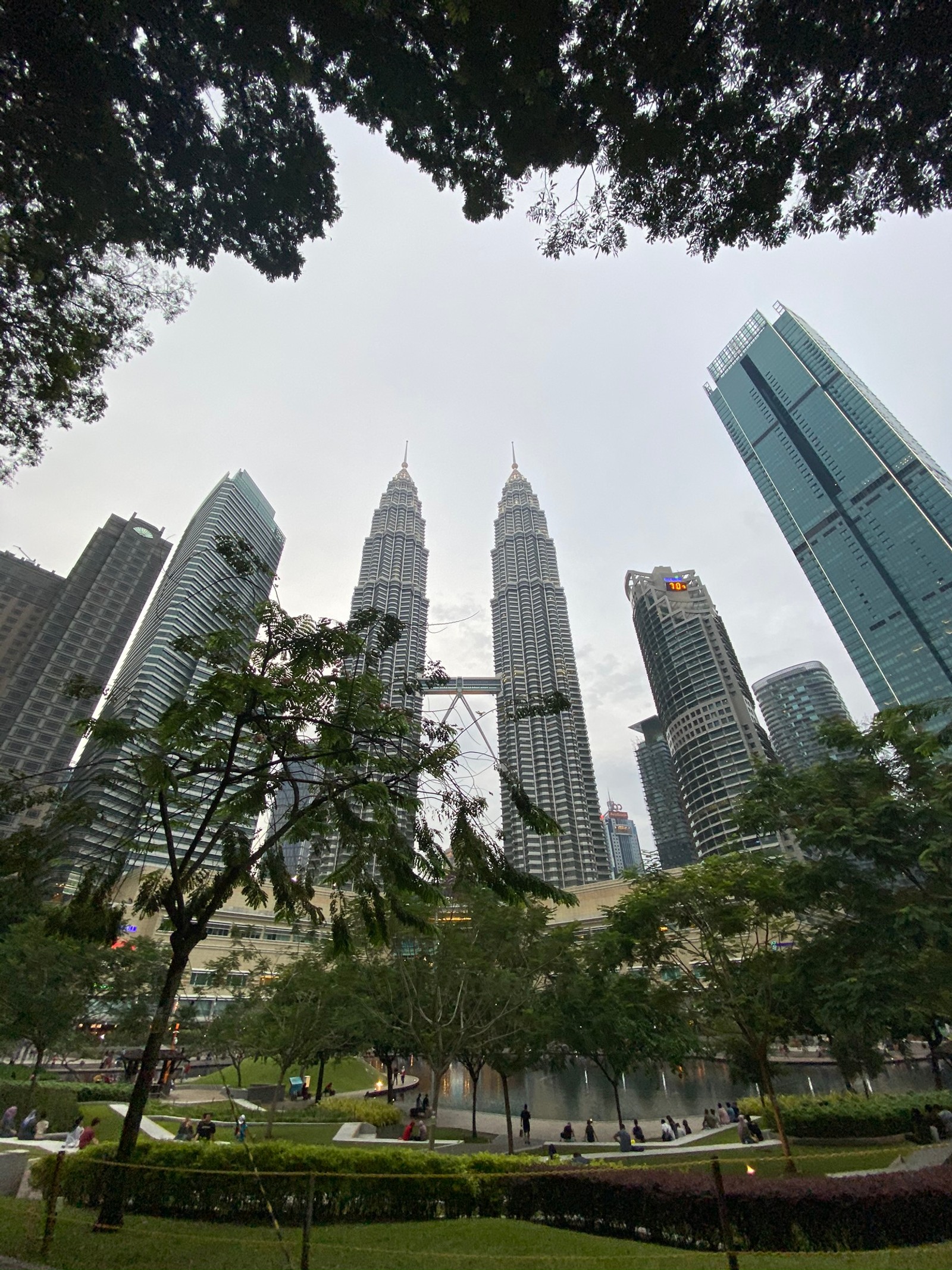 Arbres et buissons dans un parc avec vue sur la ville (tours petronas, kuala lumpur, immeuble tour, journée, ville)