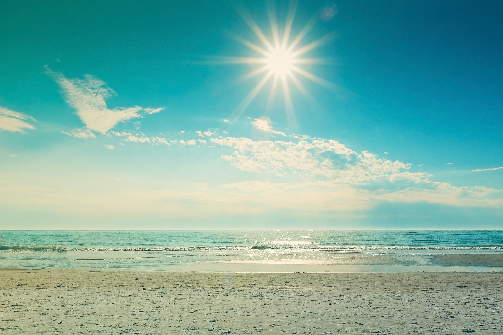 Girafes sur la plage avec le soleil brillant au-dessus de l'eau (été, mer, horizon, océan, nuage)