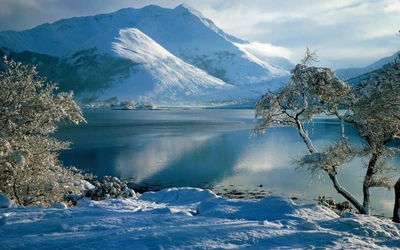 winter, snow, nature, mountain, wilderness