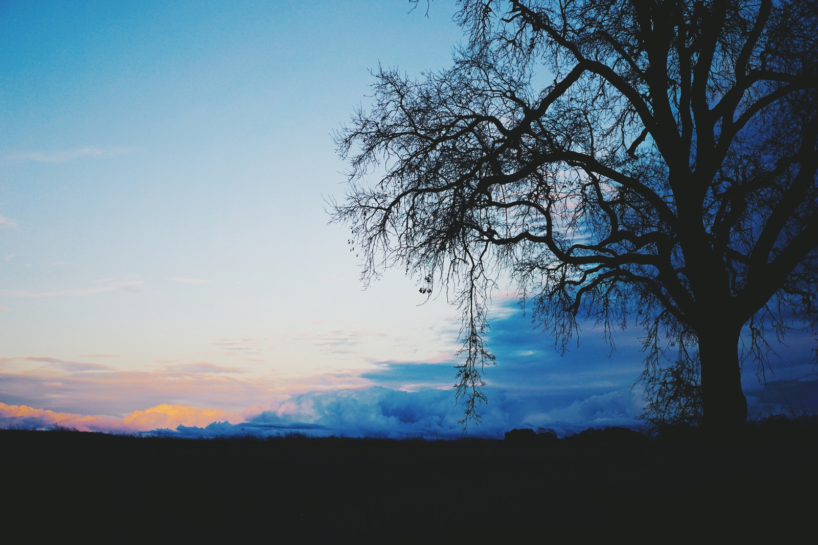 Descargar fondo de pantalla azul, árbol, naturaleza, paisaje natural, nube