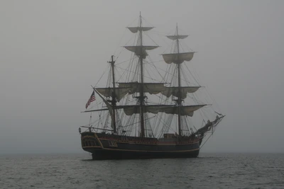 sailing ship, ship, tall ship, boat, galleon