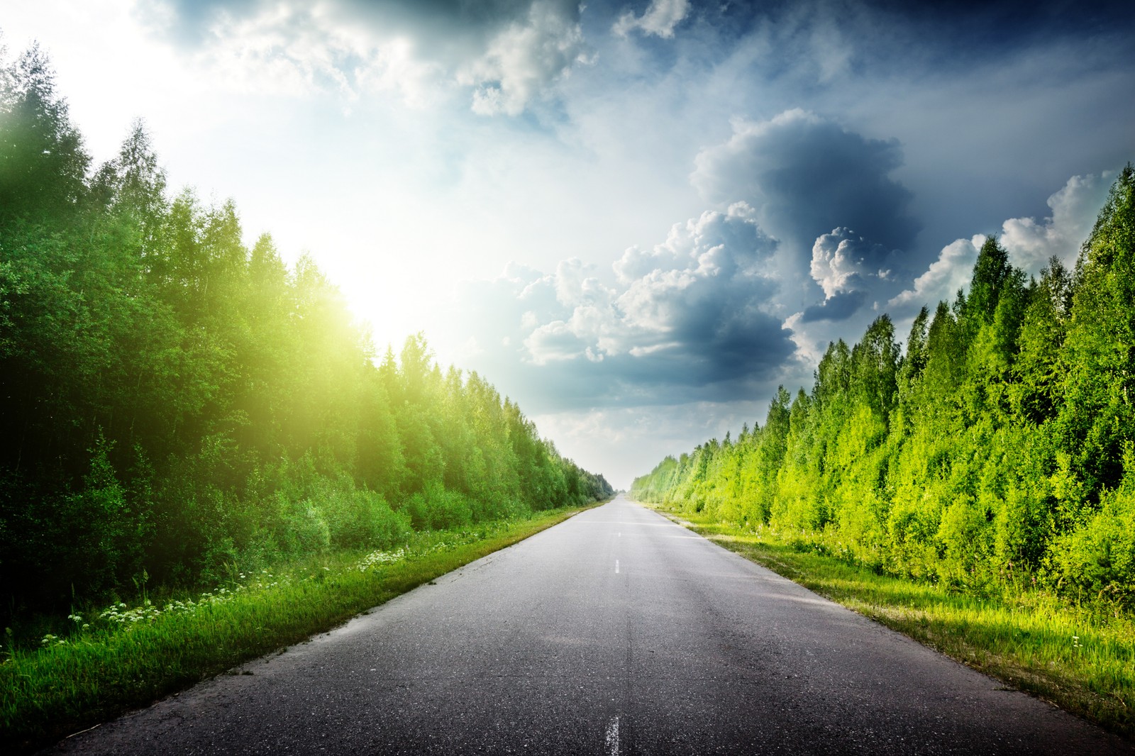 Una carretera con árboles y hierba a ambos lados y un cielo nublado (camino, naturaleza, verde, mañana, luz solar)