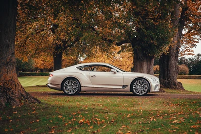 Bentley Continental GT Mulliner 2020 en un entorno otoñal escénico