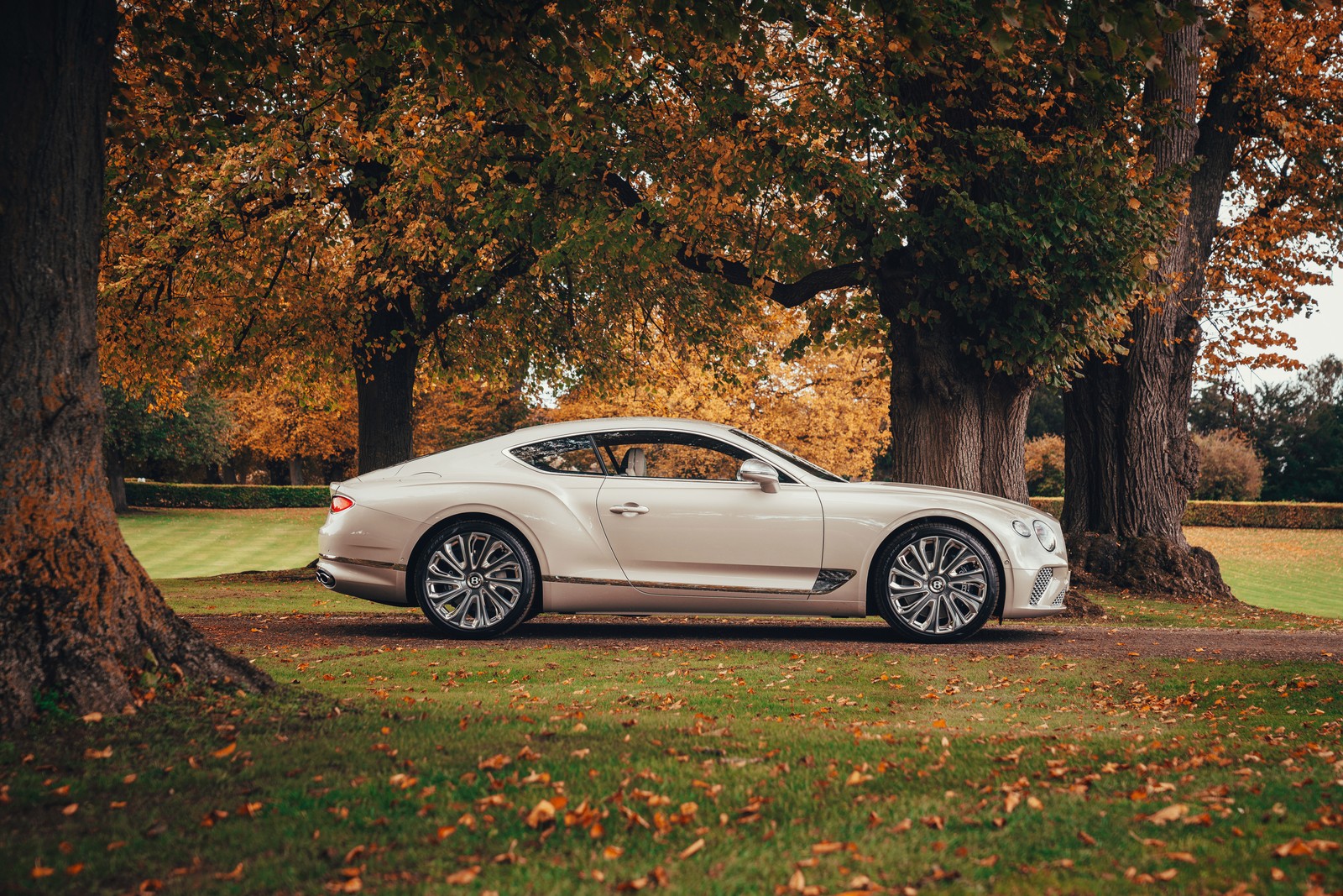 Um coupé bentley branco estacionado em frente a uma árvore (bentley continental gt mulliner, 8k, 2020, 5k, carros)