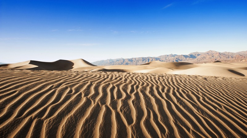 Песчаные дюны в пустыне с горами на заднем плане (пустыня, дюна, dune, песок, ерг)