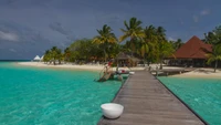 Oasis de station tropicale avec lagon, piscine et palmiers au paradis