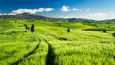 Prairies verdoyantes de Toscane sous un ciel bleu clair