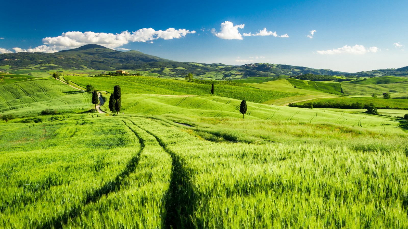 Um campo verde com um caminho levando a uma pequena casa à distância (toscana, pradaria, pastagem, colina, gramíneas)