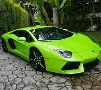 Tuned Green Lamborghini Aventador in a Lush Outdoor Setting