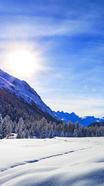 Picos cobertos de neve sob um céu brilhante