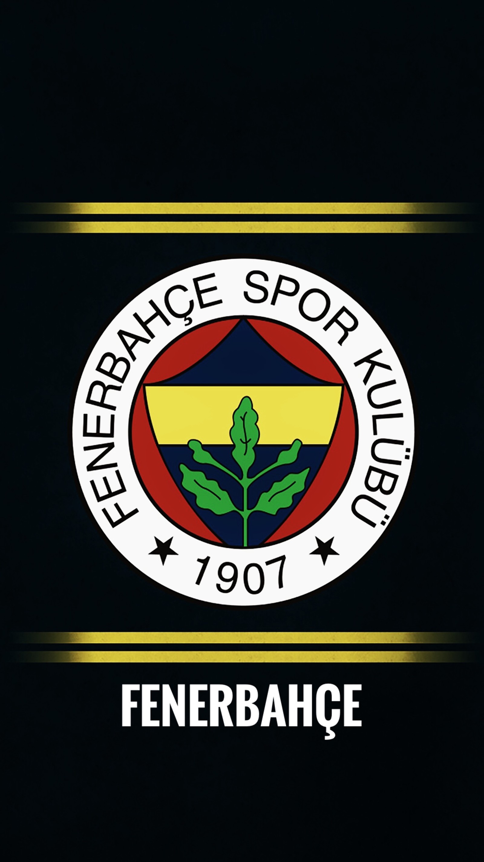 Скачать обои 1907, emre atu, фенербахче, fenerbahce, индейка