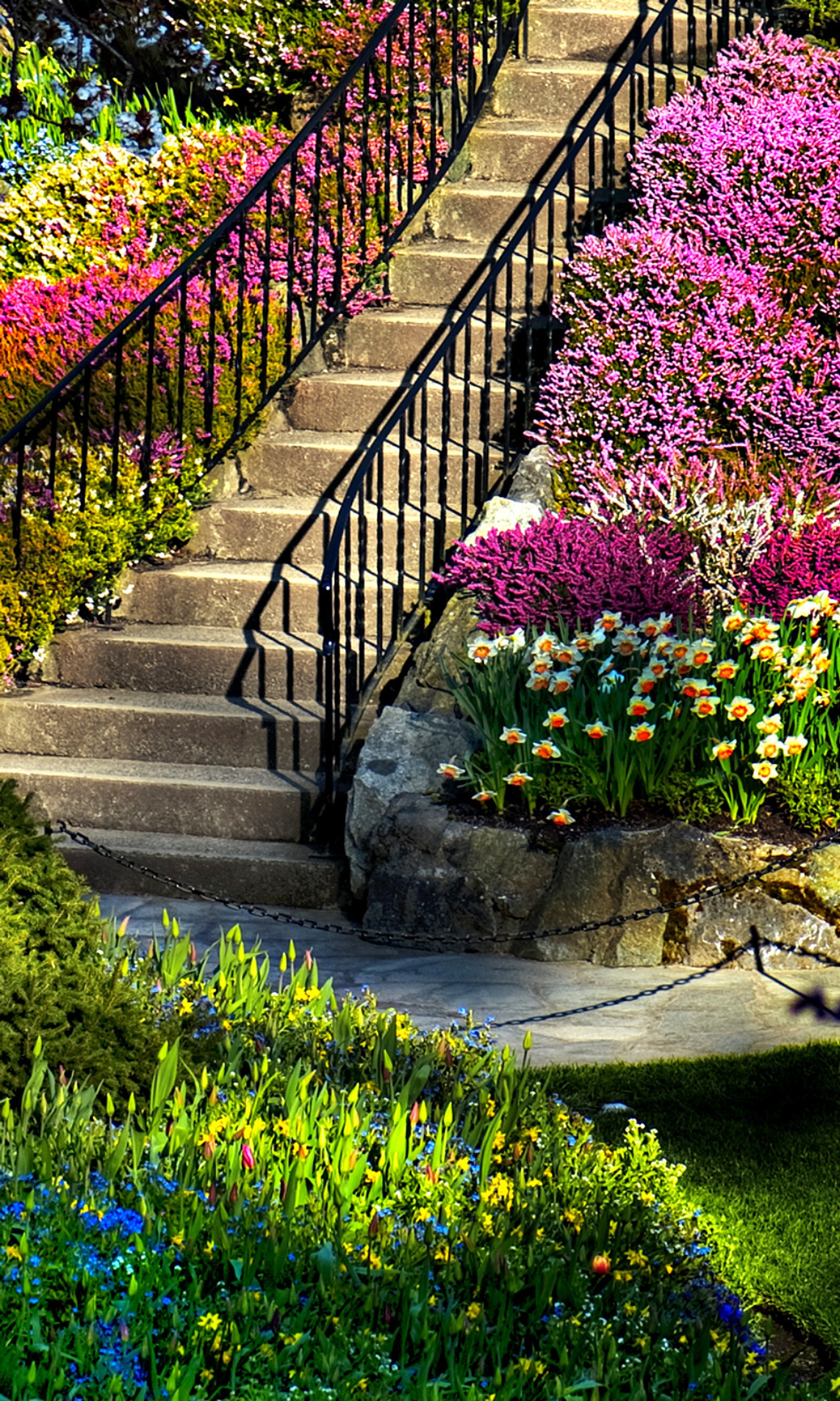 Escaleras de piedra que conducen a un jardín con flores (colores, jardín, hd, naturaleza, primavera)