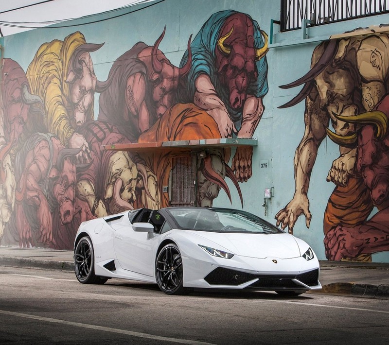 Белый спортивный автомобиль lamborghini припаркован перед муралом (машина, lambo, скорость, белый)