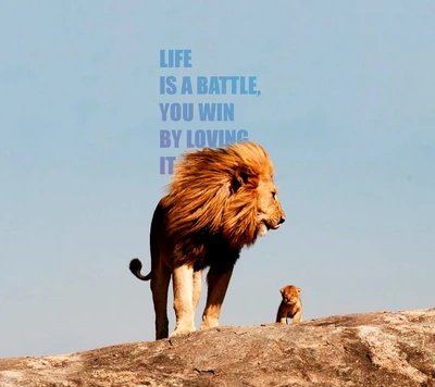 Life Is a Battle: Wisdom and Love in the Wild