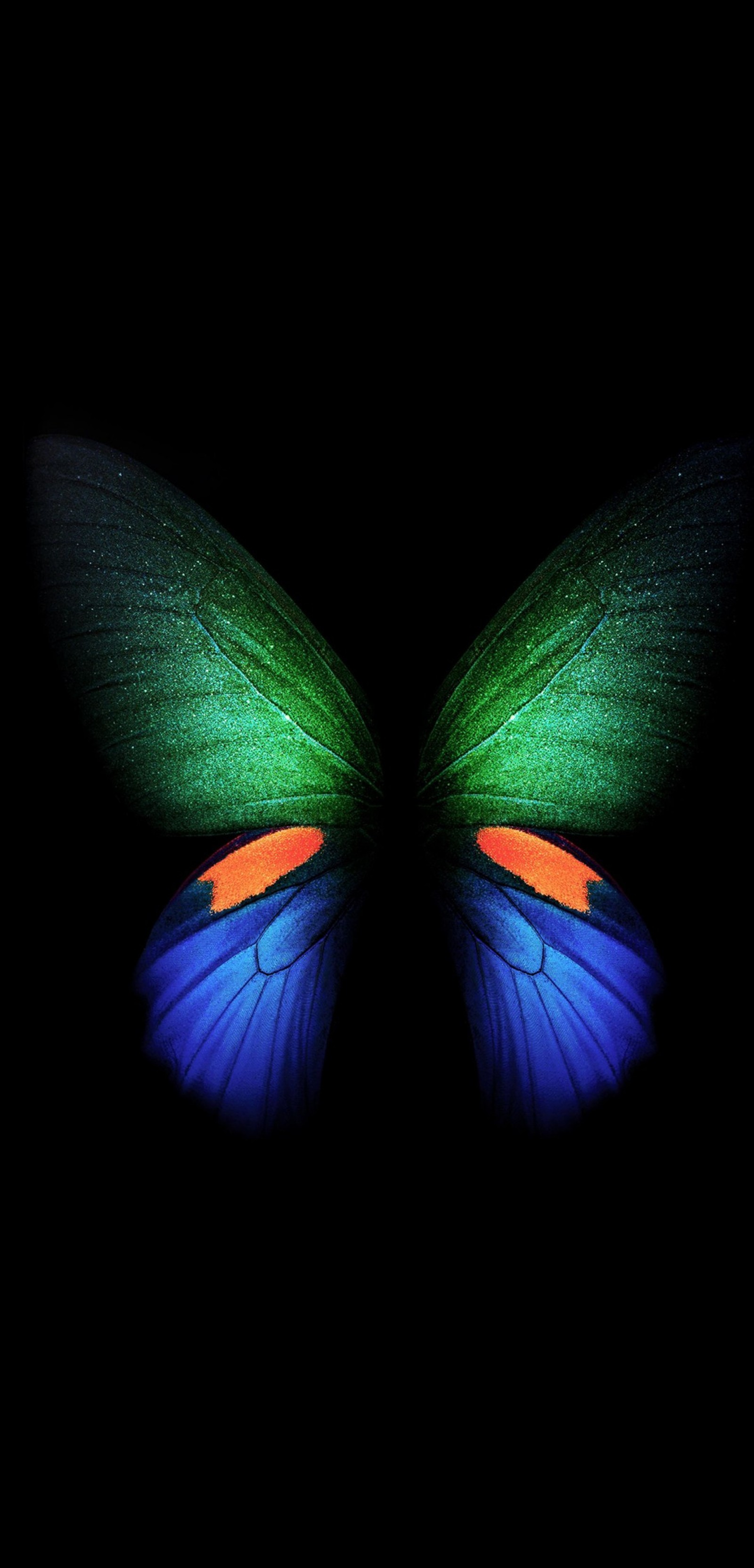 Butterfly wings with a green and blue wing on a black background (galaxy, fold, samsung)