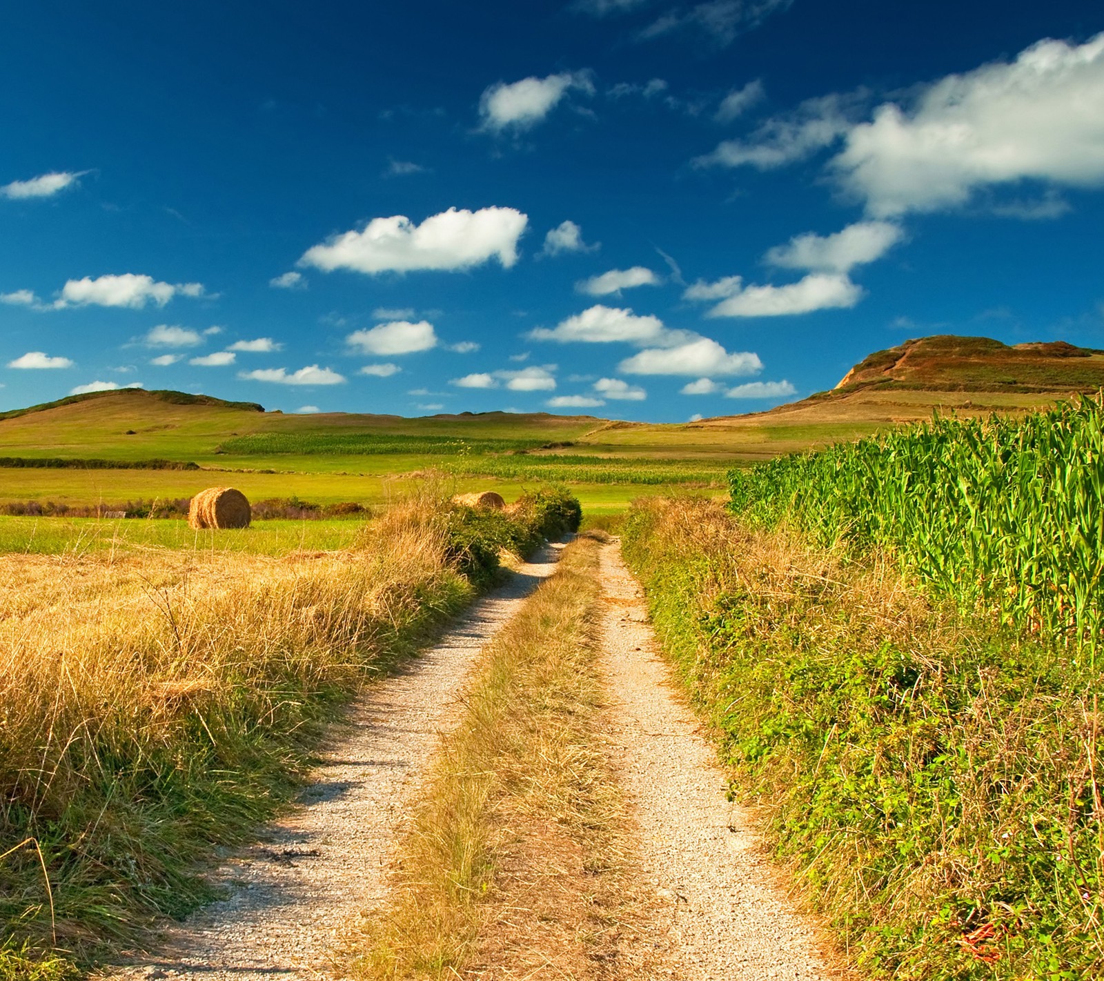 Arafed field with hay bales and a dirt road in the foreground (field, grass, hd, hills, landscape)