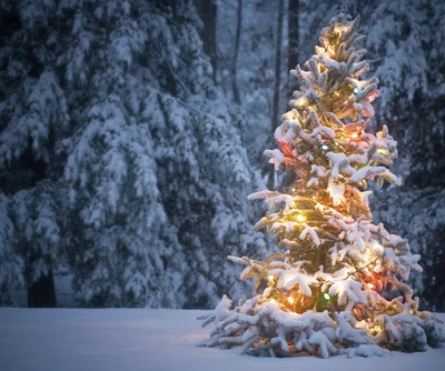 navidad, luces, nieve, árbol