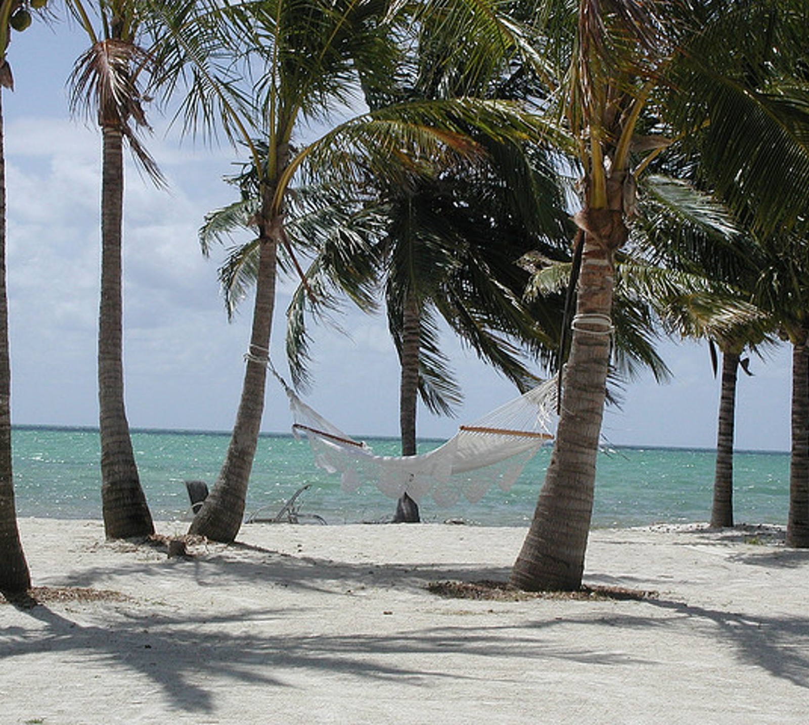 Una hamaca entre dos palmeras en la playa (playa, florida, hamaca, palmeras)