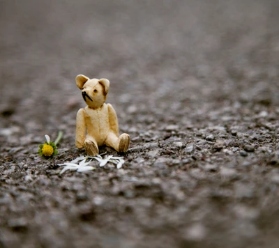 oso, flor, corazón roto, pequeño, solitario