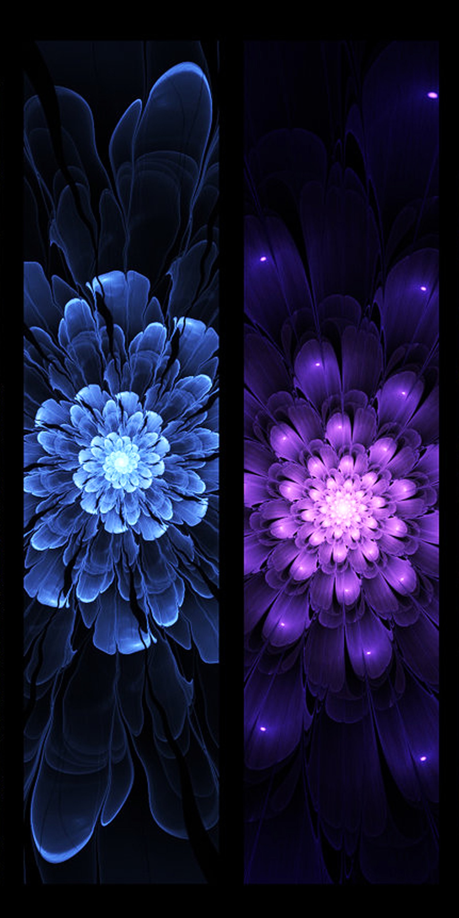 Des fleurs violettes et bleues sont montrées en trois couleurs différentes (abstrait, bleu, fleur, fractale, violet)