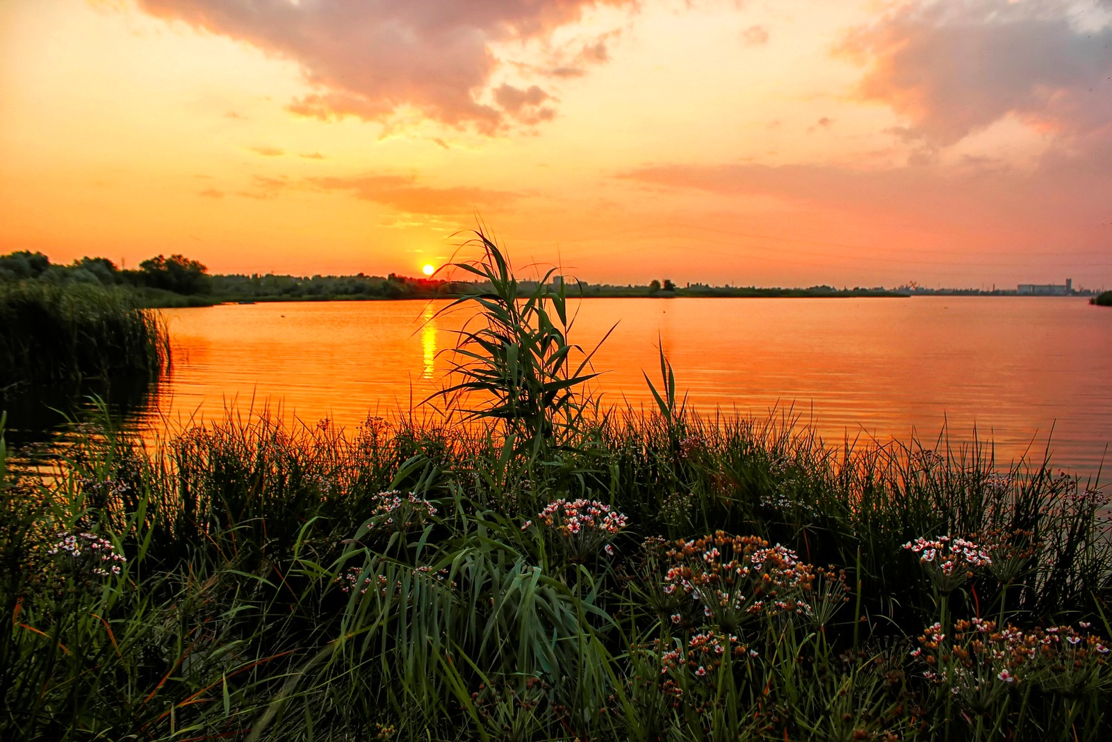 Sunset over a lake with a boat in the distance and a few flowers in the foreground (nature, sunset, water, evening, bank)