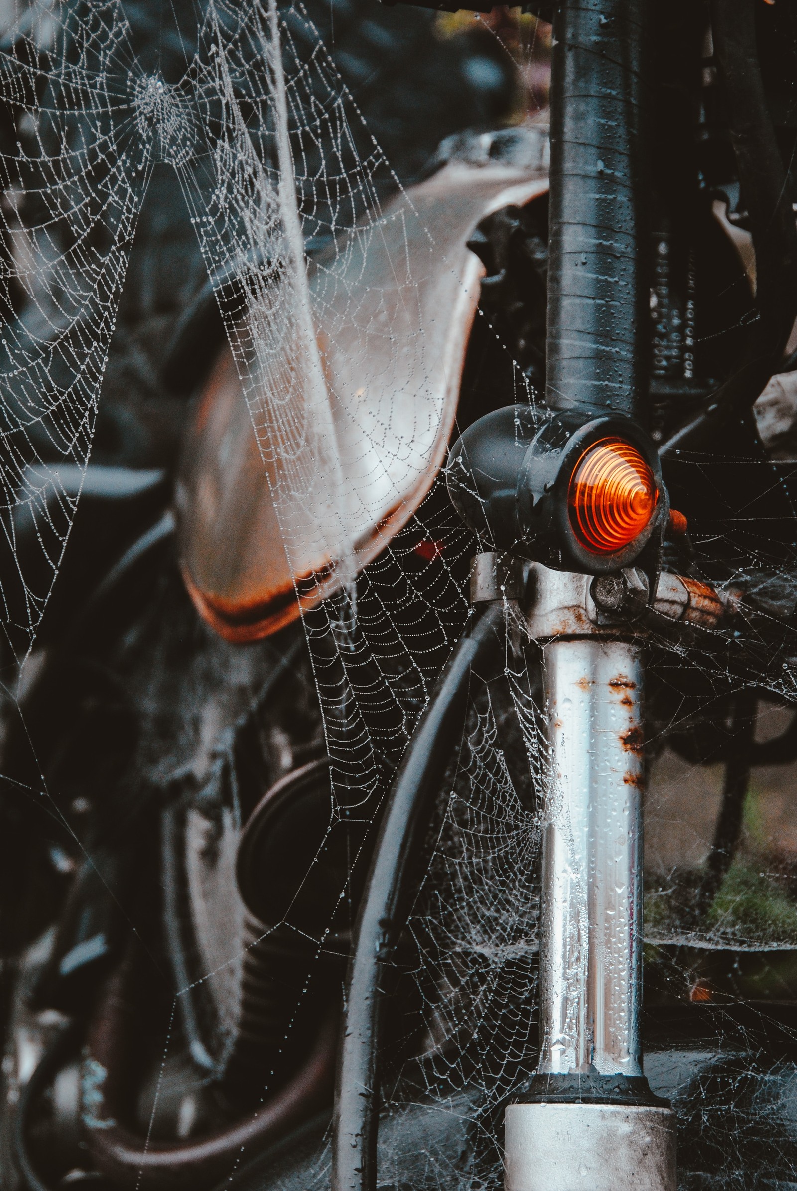 motorcycle, spider web, king, light, water Download Wallpaper