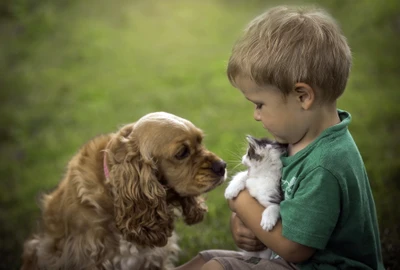 Enfant étreignant un chaton tandis qu'un cocker anglais s'approche curieusement.