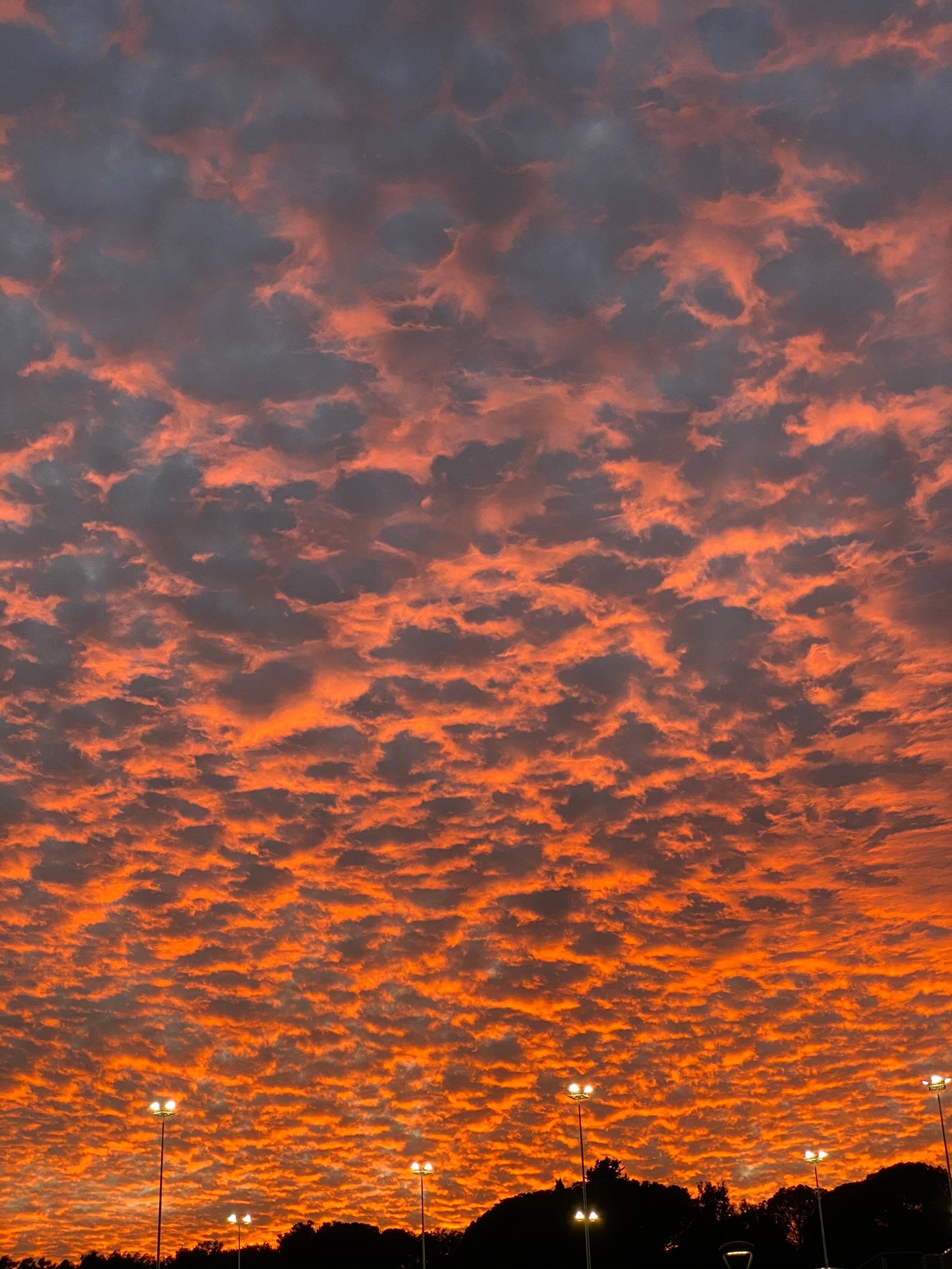 Un avion vole dans le ciel au coucher du soleil avec un ciel rouge (nuage, orange, crépuscule, coucher de soleil, rouge)