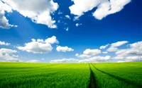 Prairie verte vibrante sous un ciel bleu brillant avec des nuages duveteux