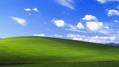 Ikonische Windows XP Landschaft: Üppige grüne Hügel und blauer Himmel