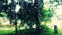 Raindrops on a window framing a lush green landscape.