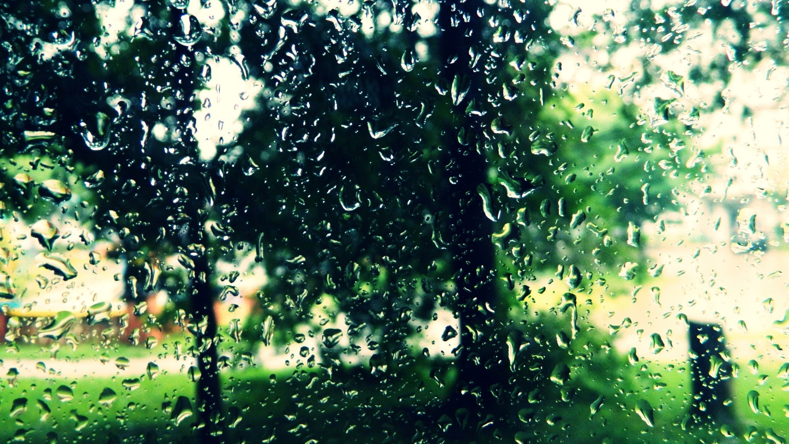 A close up of a rain covered window with rain drops (green, nature, tree, sunlight, vegetation)