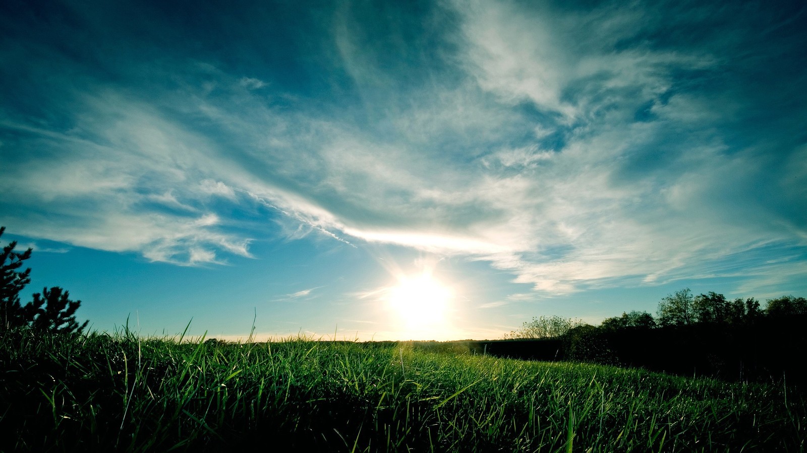 Una vista de un campo con el sol poniéndose de fondo (naturaleza, nube, campo, pasto, horizonte)